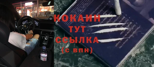 прущие грибы Киреевск