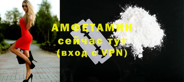 индика Кинешма