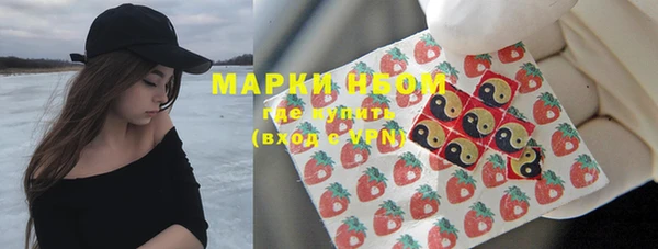 индика Кинешма