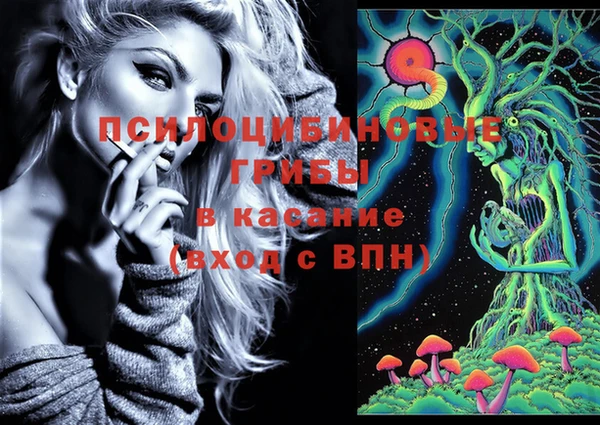 индика Кинешма