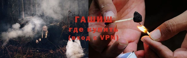 прущие грибы Киреевск