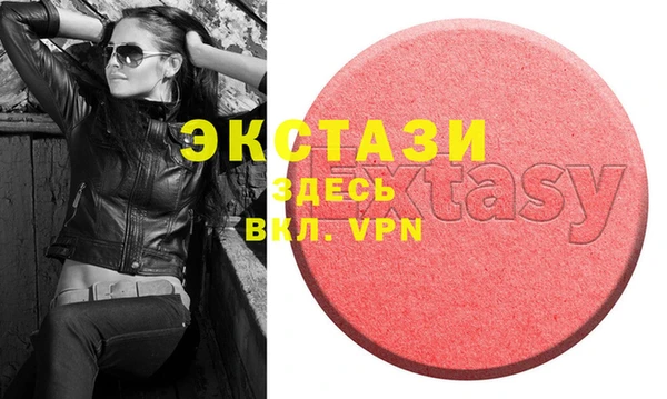 индика Кинешма