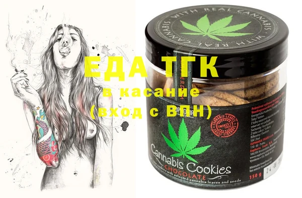 индика Кинешма