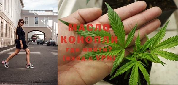 индика Кинешма