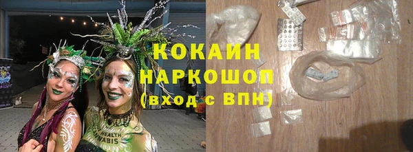 прущие грибы Киреевск