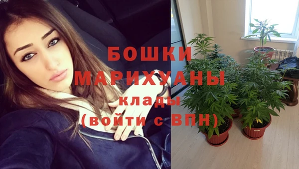 прущие грибы Киреевск