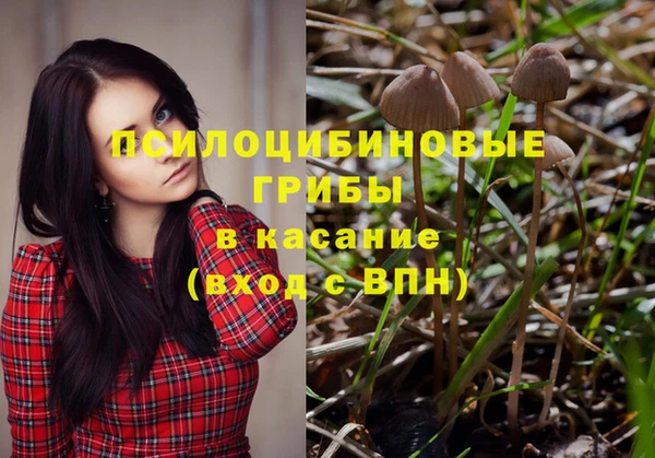 прущие грибы Киреевск