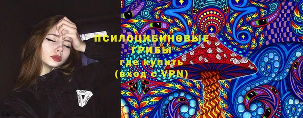 прущие грибы Киреевск