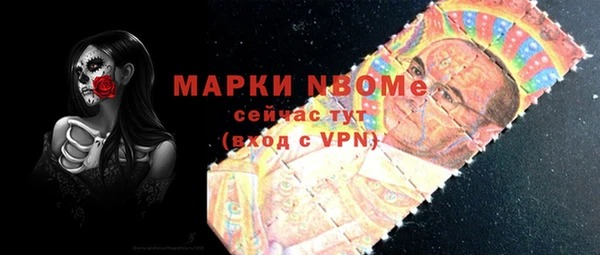 индика Кинешма