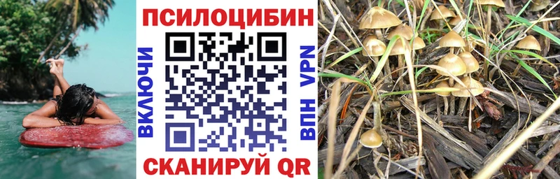 Псилоцибиновые грибы Psilocybe  Купить закладки  Ликино-Дулёво 